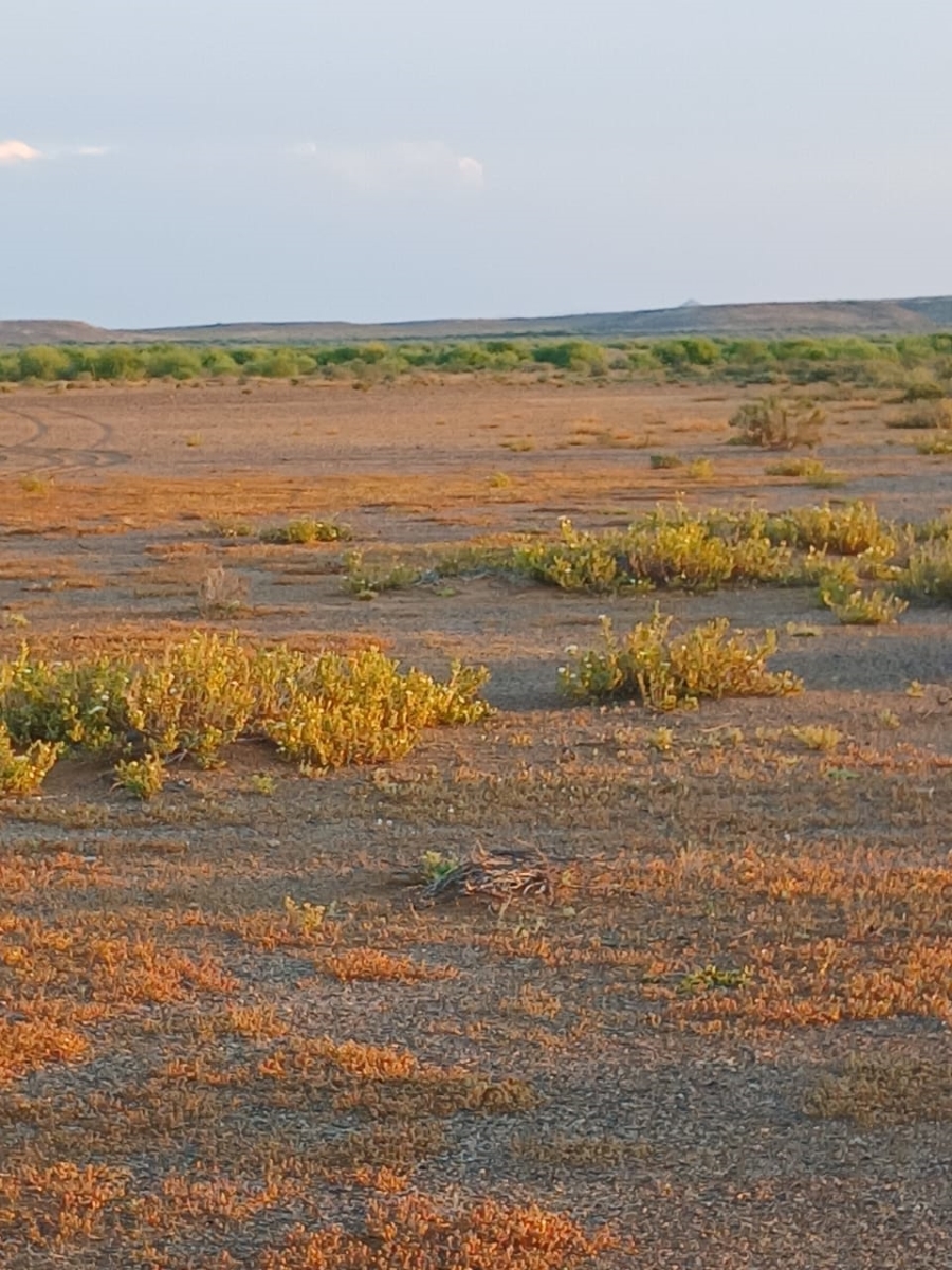 Commercial Property for Sale in Vanwyksvlei Northern Cape